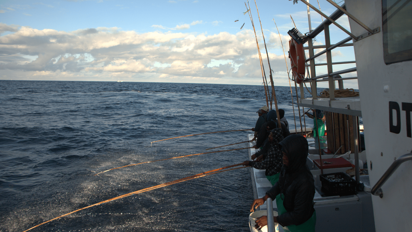 Thumbnail for South African Albacore Tuna fishery achieves landmark MSC certification