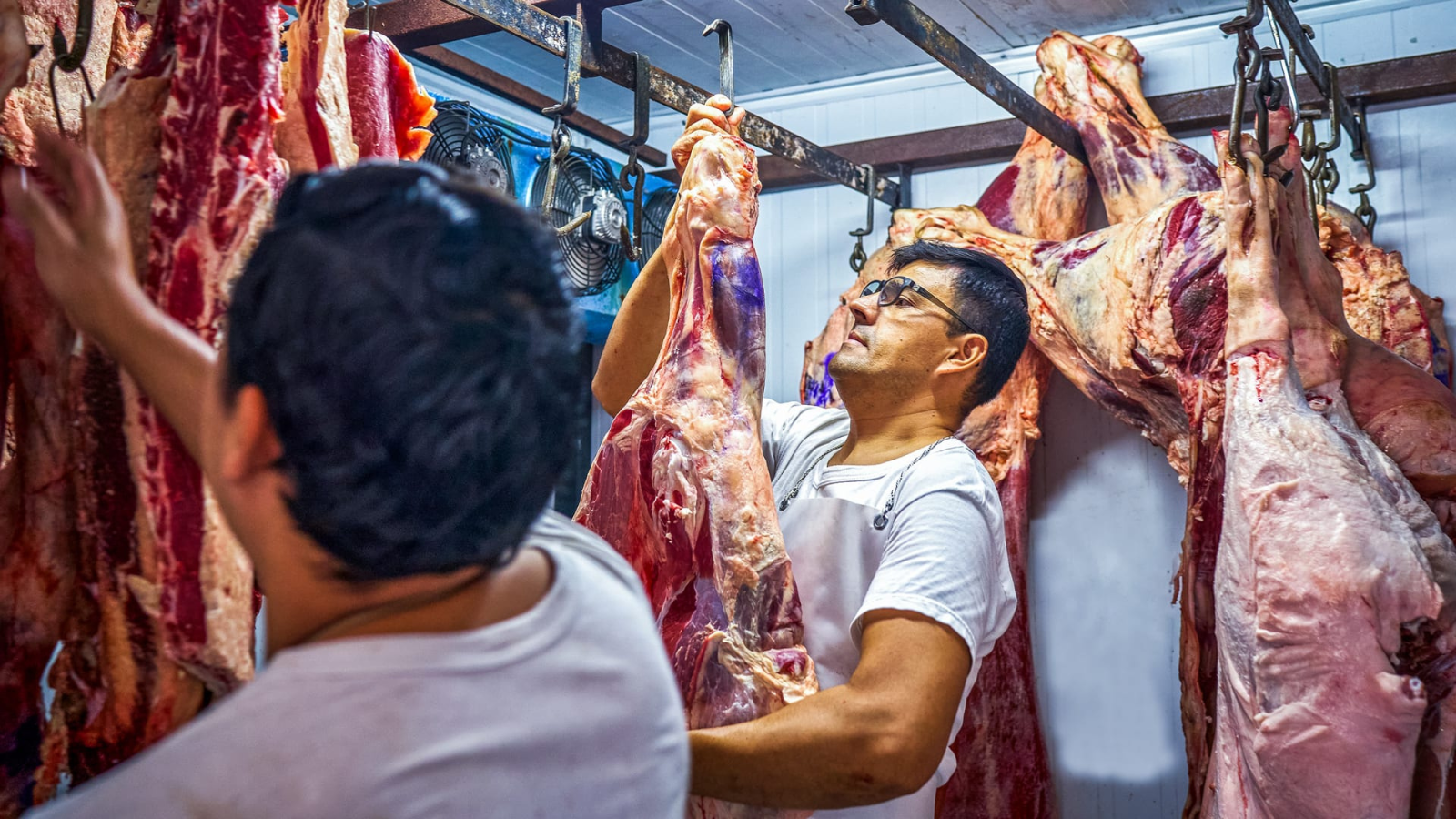 Thumbnail for Argentina strengthens EU beef exports with new sustainability certification