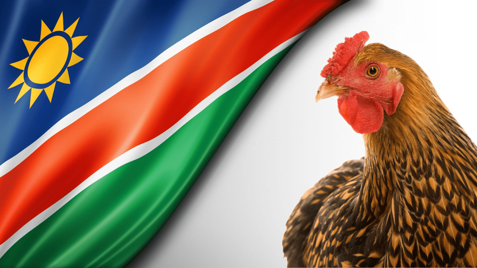 Thumbnail for Namibia resumes poultry imports from South Africa