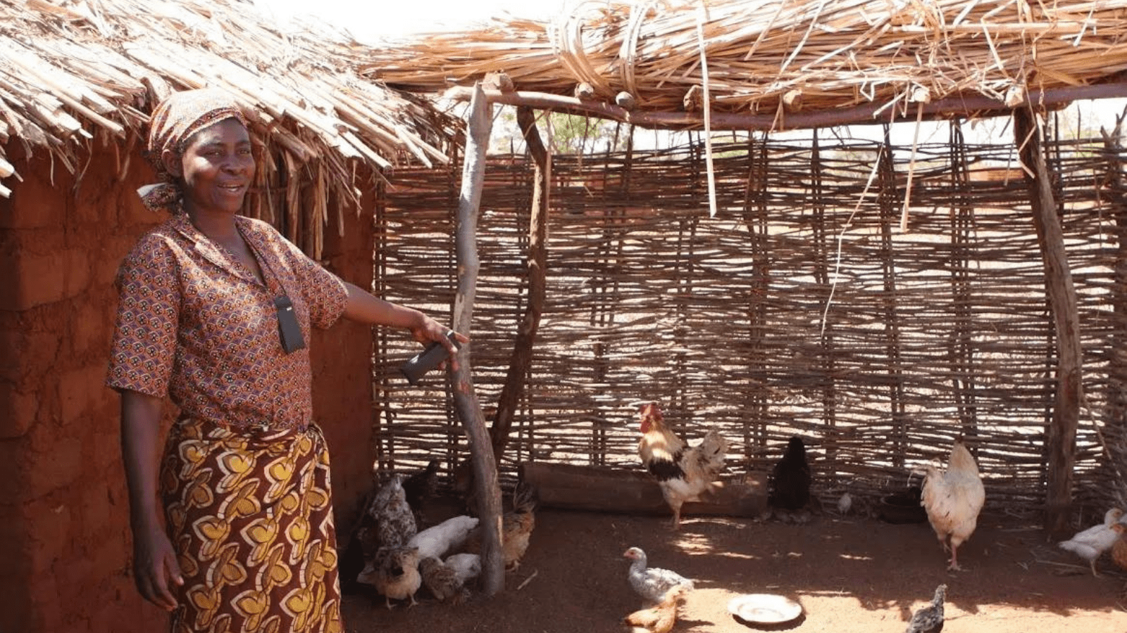 Thumbnail for International Labour Organization empowers Ethiopian women poultry farmers 