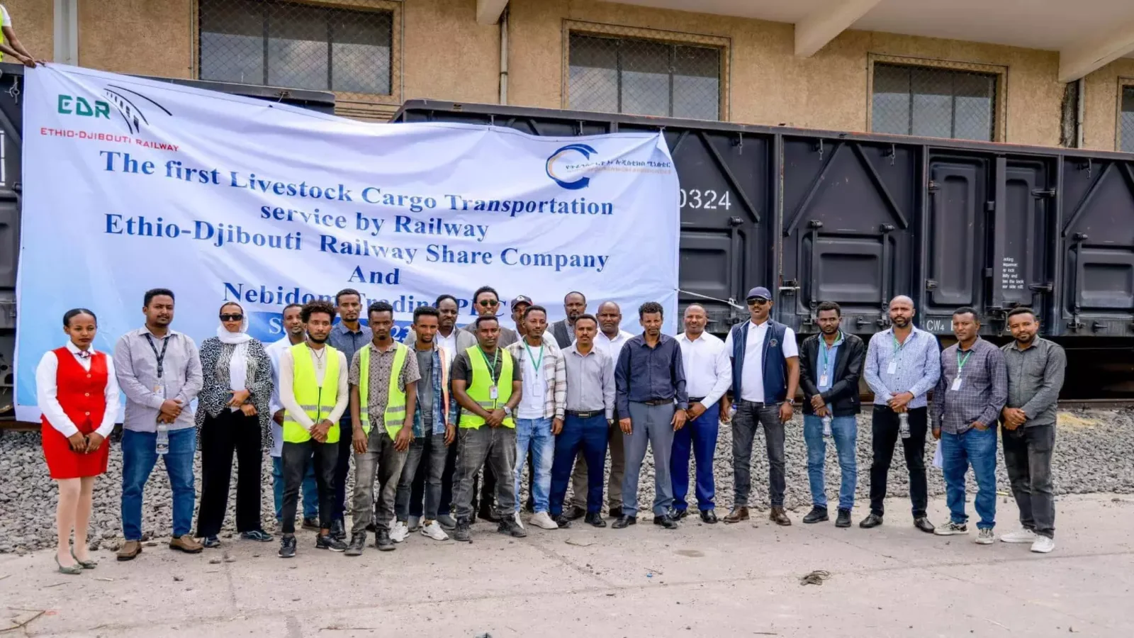 Thumbnail for Ethiopia launches first-ever livestock transportation train to boost quality meat export