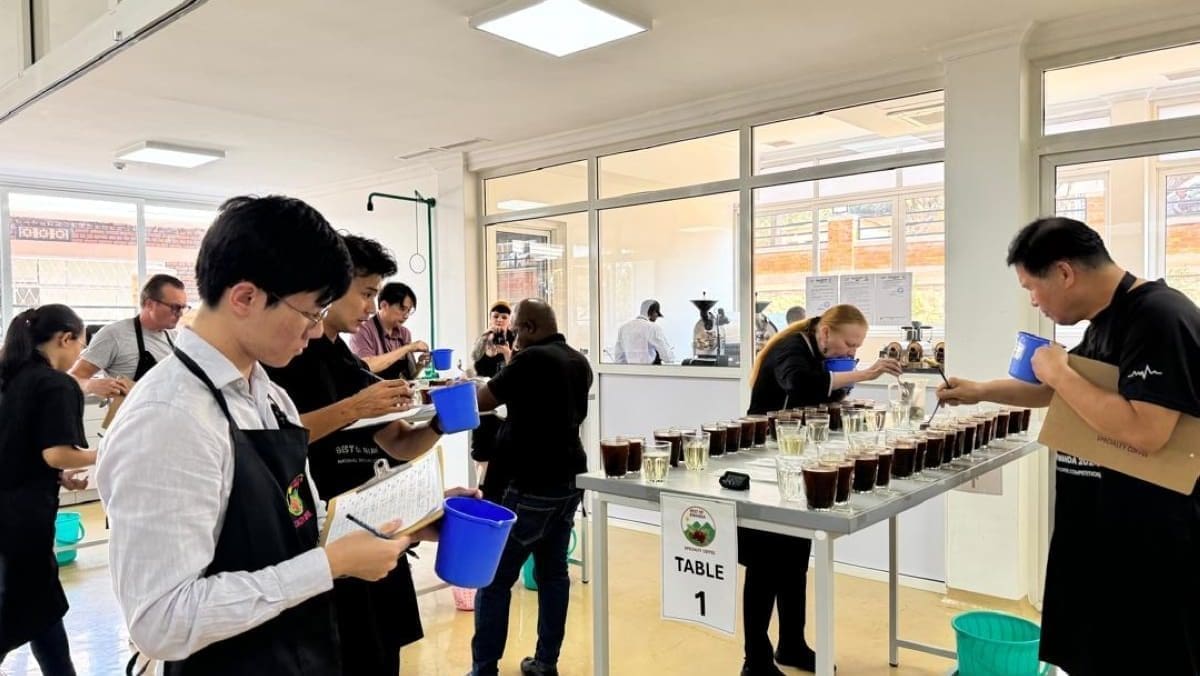 Thumbnail for Rwanda coffee achieves new record prices in specialty auction 