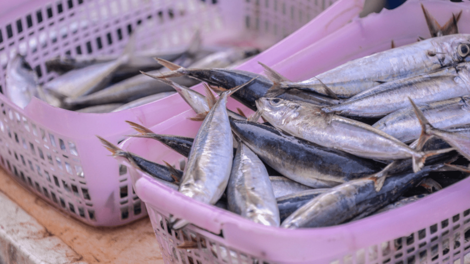 Thumbnail for Tate & Lyle acquires over 130,000 shares