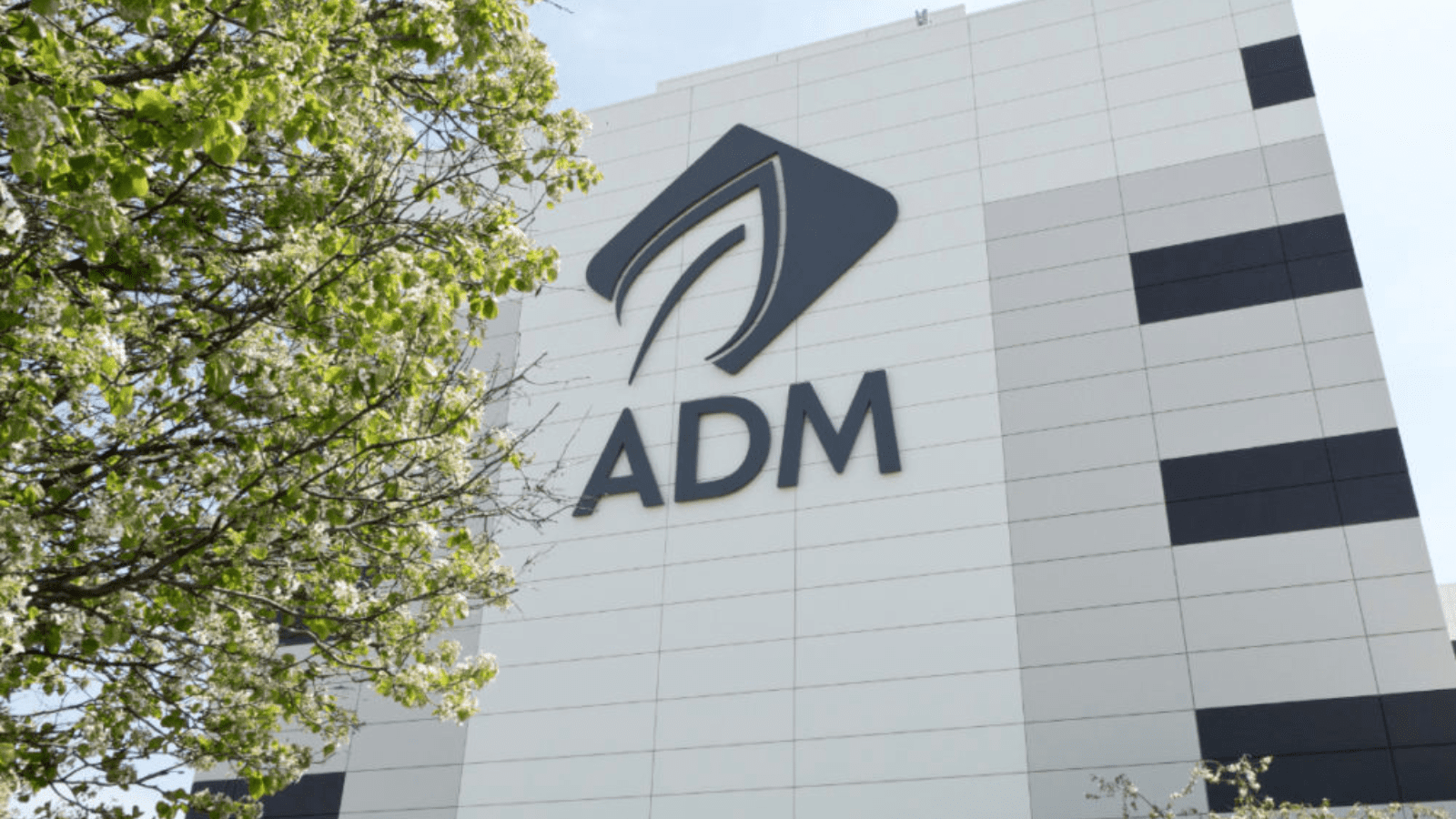 Thumbnail for ADM to expand its soybean business as demand for protein and fuel grows