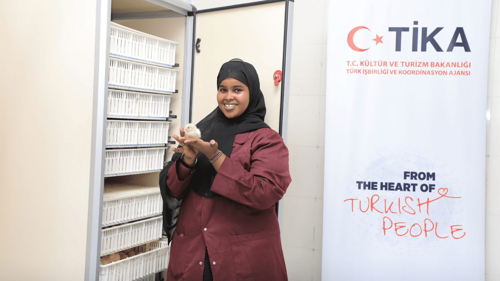 Thumbnail for TİKA launches new broiler production project in Somalia