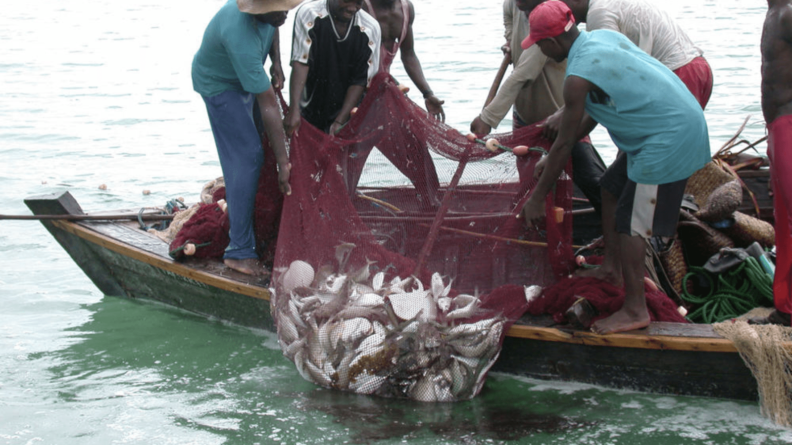 Thumbnail for Fishermen in Western Kenya to benefit from initiative to mark fish breeding sites