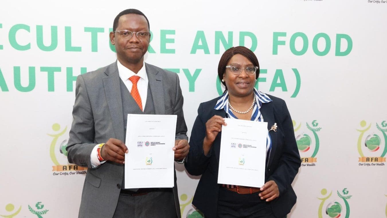 Thumbnail for Kenya to create unified coffee brand to boost exports