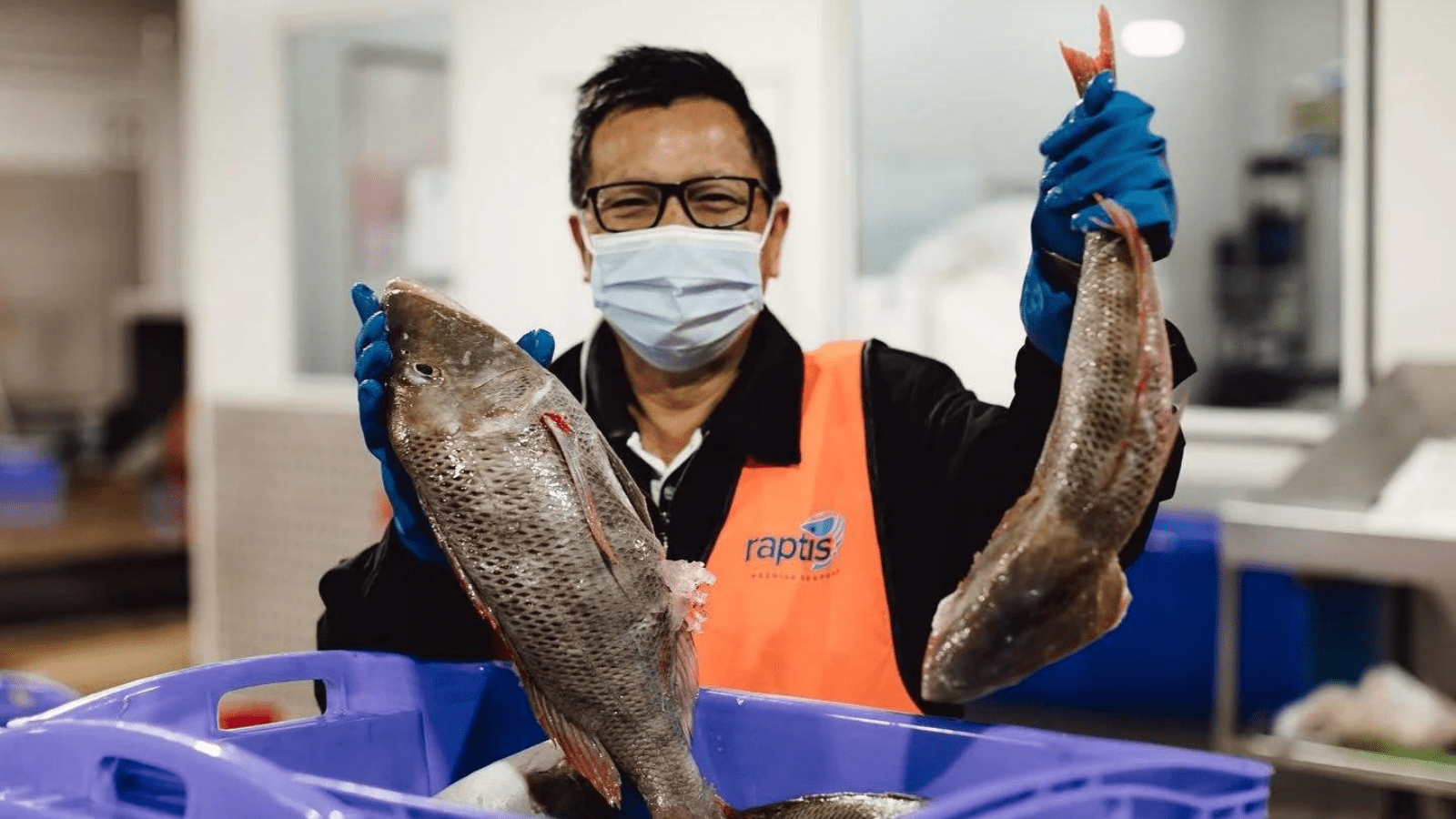 Thumbnail for Australia’s Raptis Seafood seeks investment