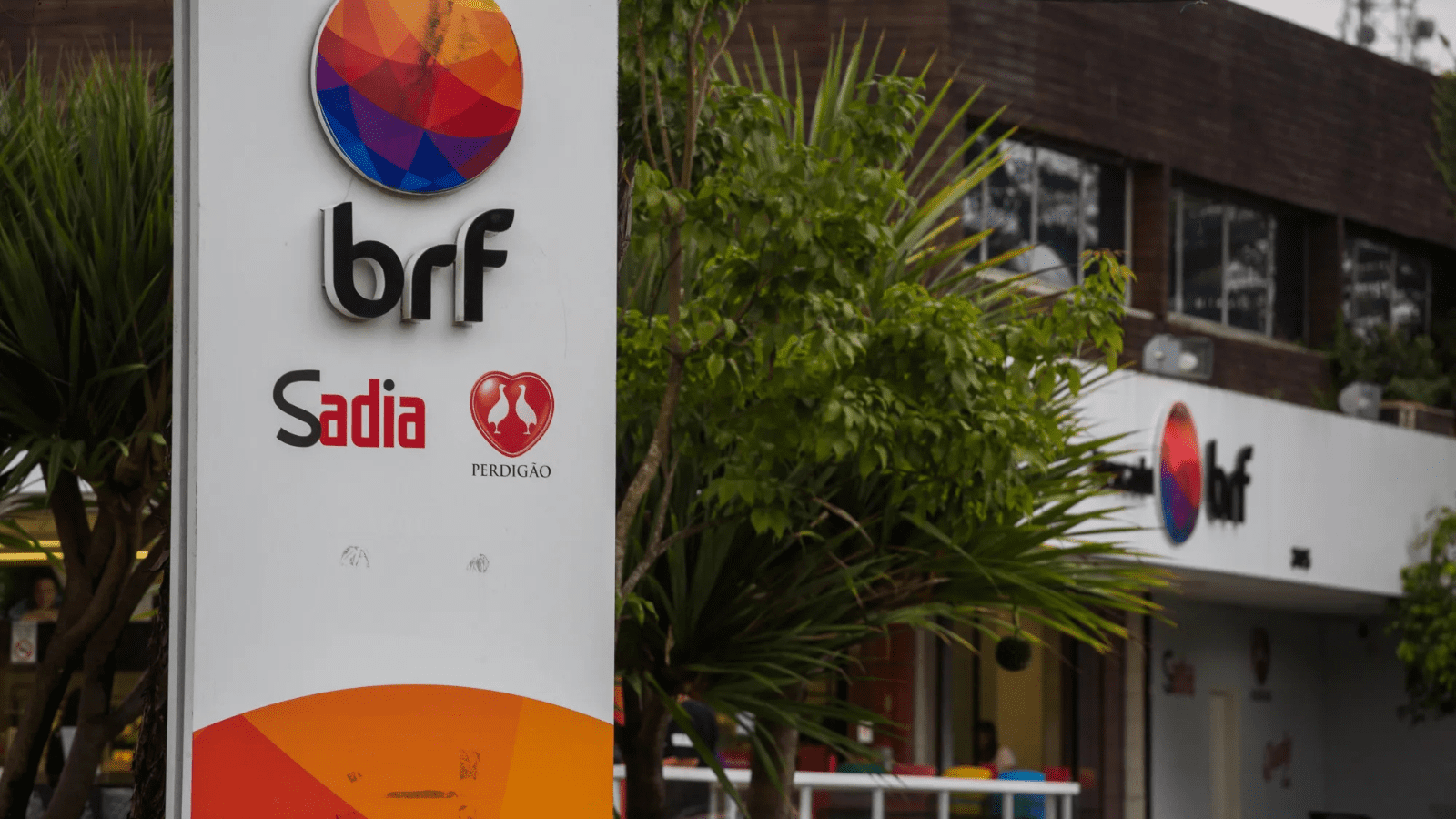Thumbnail for BRF, Marfrig announce Sadia’s entry into global cattle market