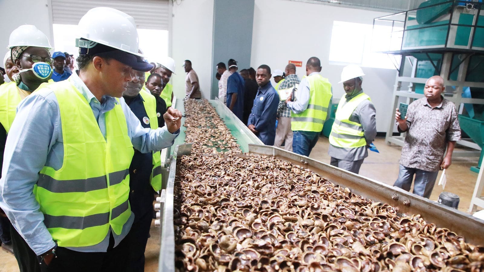 Thumbnail for Tanzania to build four new cashew processing factories by 2025 