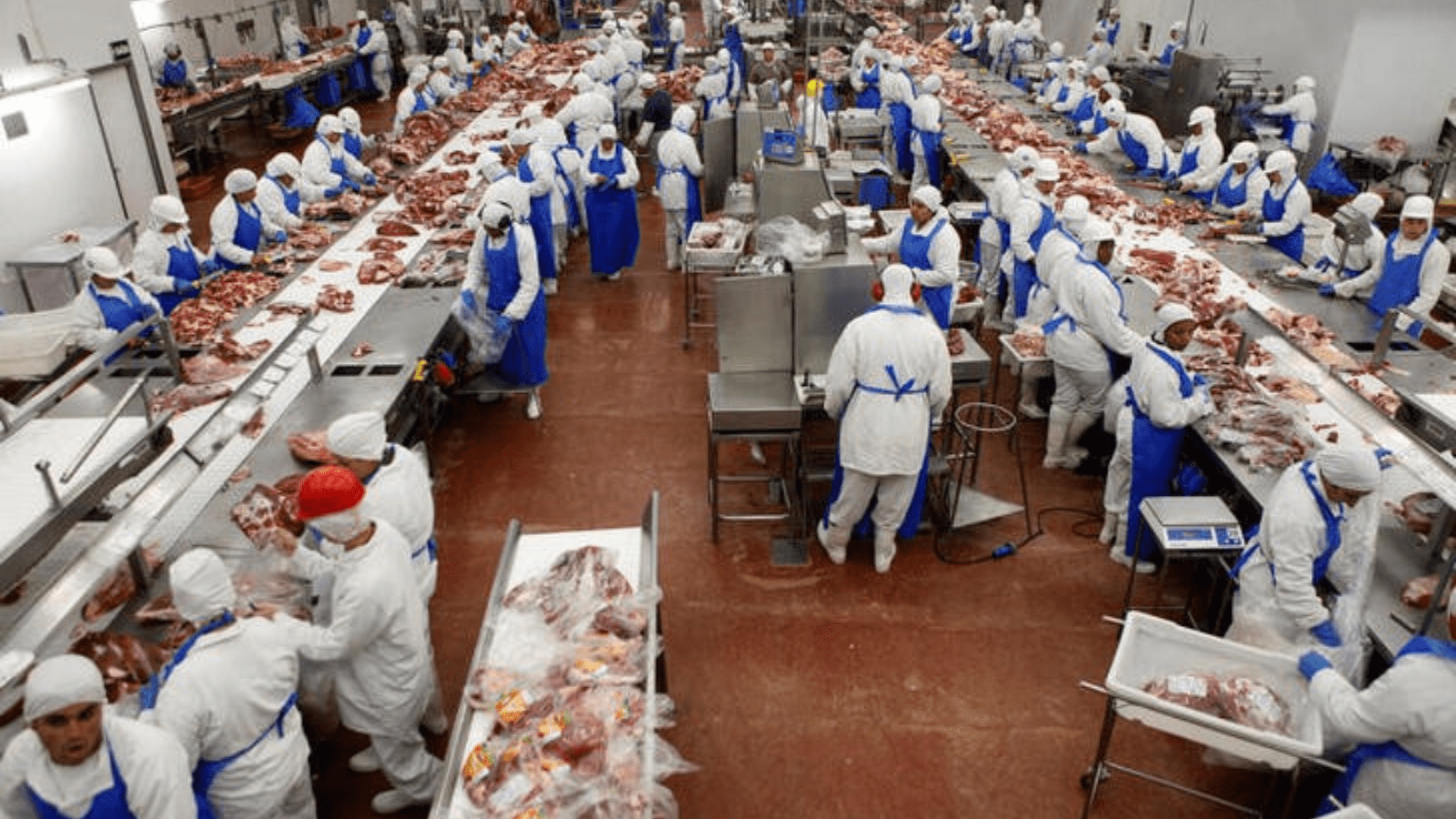 Thumbnail for Marfrig Global Foods reports US$15.7M third quarter income
