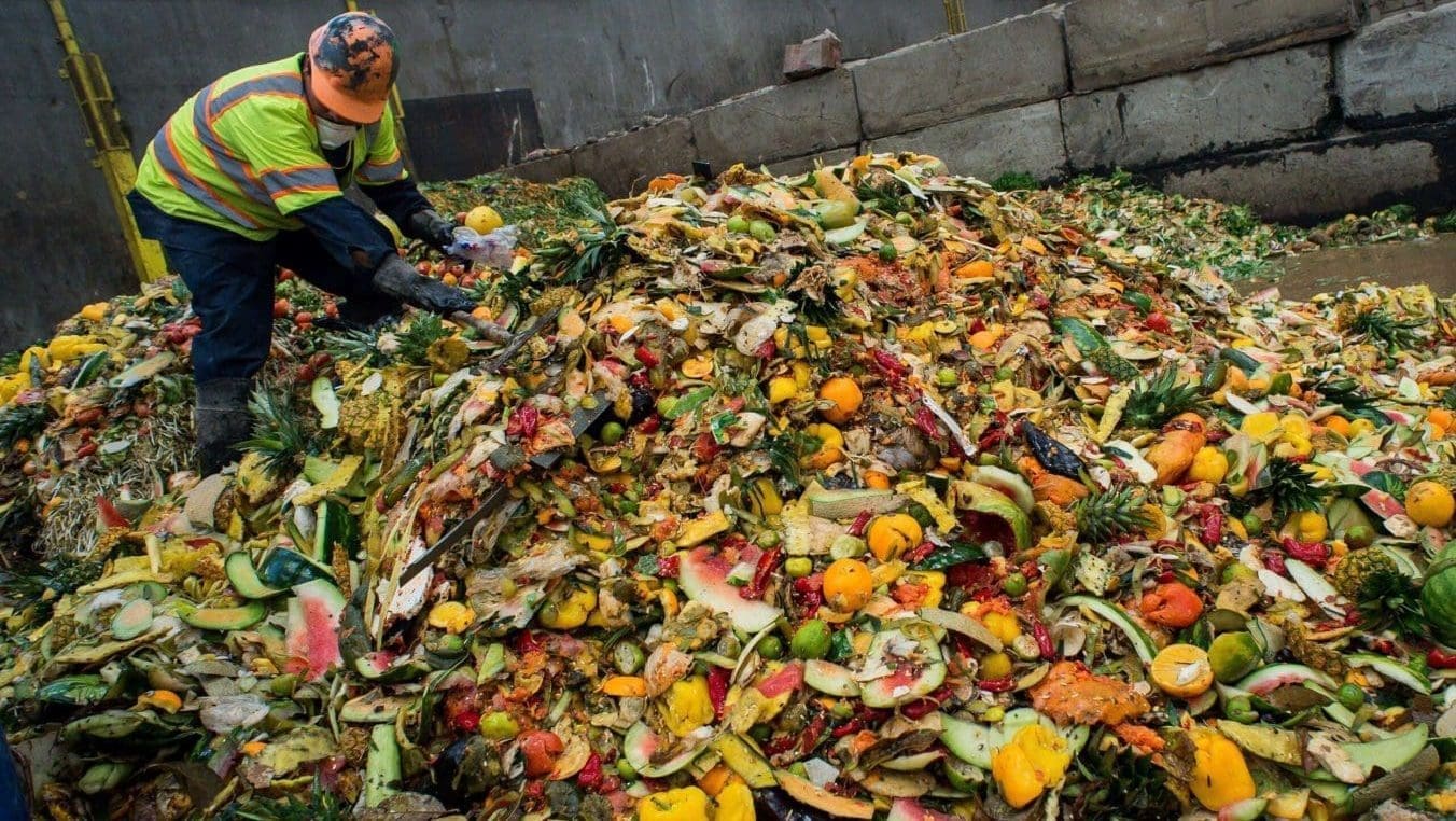 Thumbnail for APAC faces food waste crisis as industry, governments push for sustainable solutions, report shows 