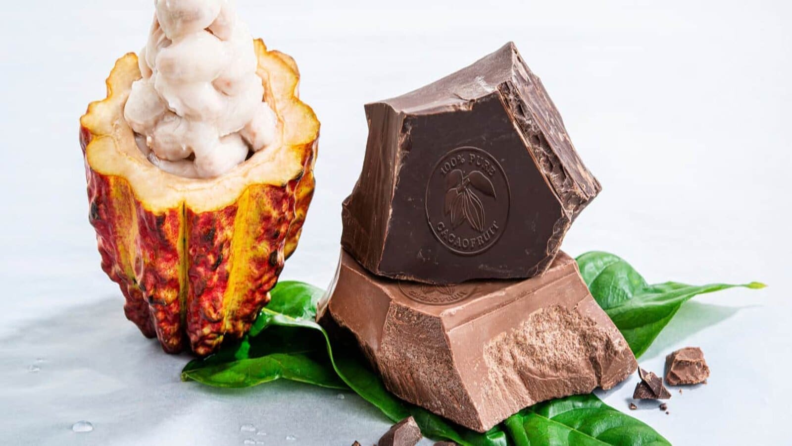 Thumbnail for Barry Callebaut Integrates Upcycled Cacaofruit Products into Portfolio