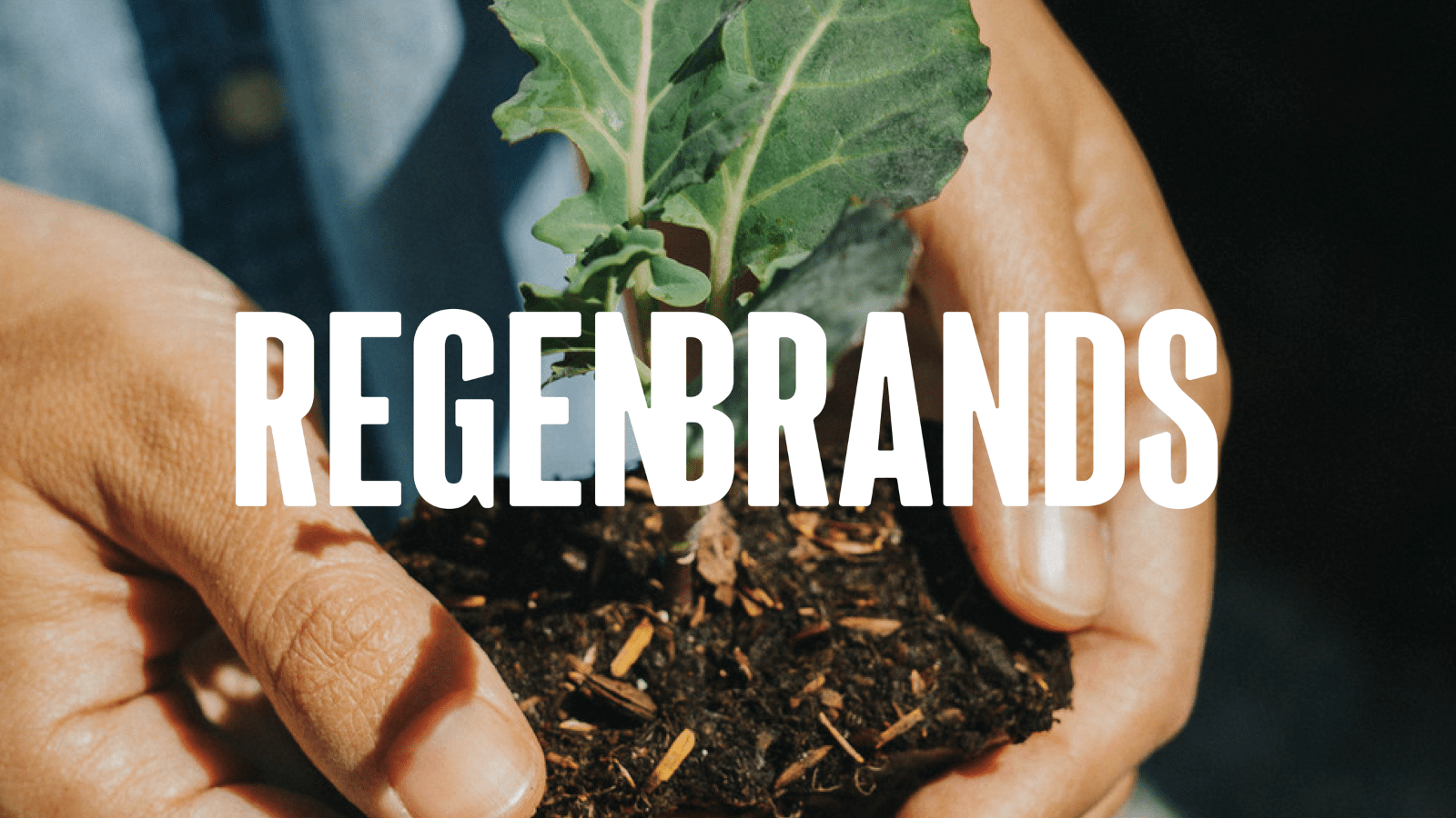 Thumbnail for ReGen Brands collaborates with meat, poultry companies to promote regenerative agriculture