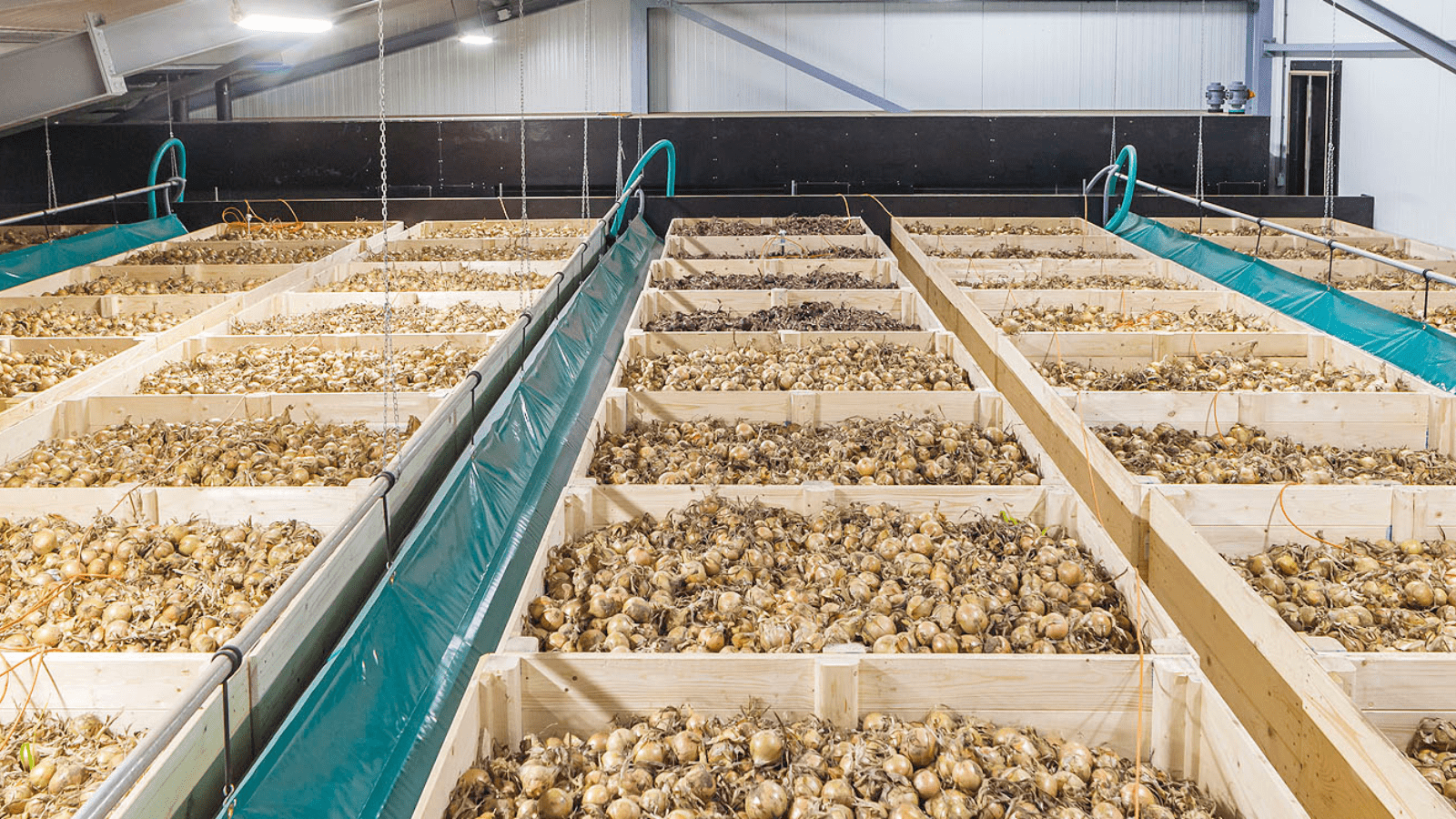 Thumbnail for Rwanda’s agricultural ministry to construct US$1.57M agriculture drying facilities 