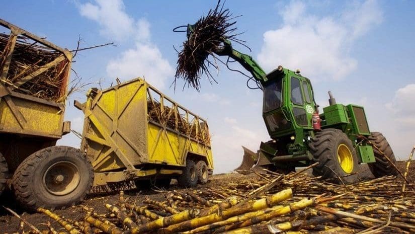 Thumbnail for Mozambique’s sugar exports surge 36% despite climate challenges