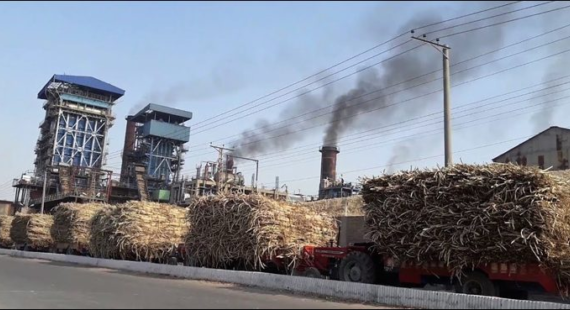 Thumbnail for Kenya’s Muwariziki Sugar Millers to build US$11.52M sugar factory in Homabay