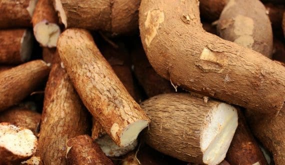 Thumbnail for Senegal launches USD 139M agricultural project with Italian partner
