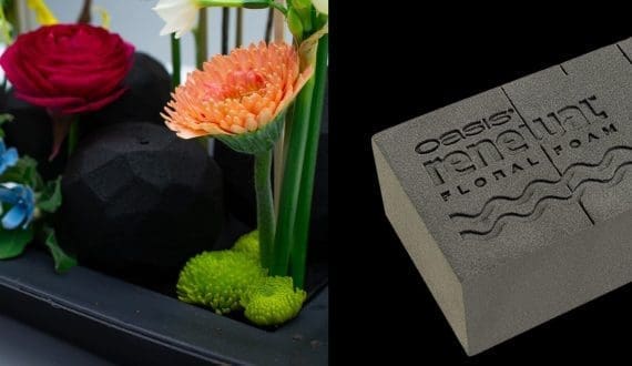 Thumbnail for Smithers-Oasis launches new plant-based floral foam