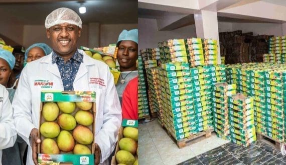 Thumbnail for Kenya’s Makueni County inaugurates horticultural aggregation center