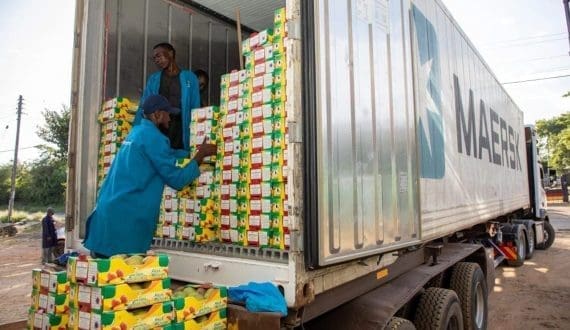 Thumbnail for Makueni mango farmers earn over USD 2.3M from exports