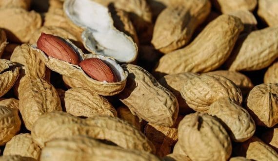 Thumbnail for Senegal’s peanut export ban sparks concerns across sector