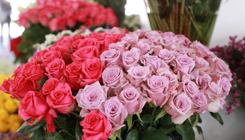 Thumbnail for FEATURED FRIDAY: Sustainable Supply Chain Initiative Benchmarking: Floriculture’s Green Future