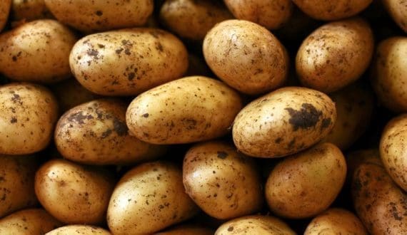 Thumbnail for Rwanda pursues nutritional gains through bio-fortified potatoes