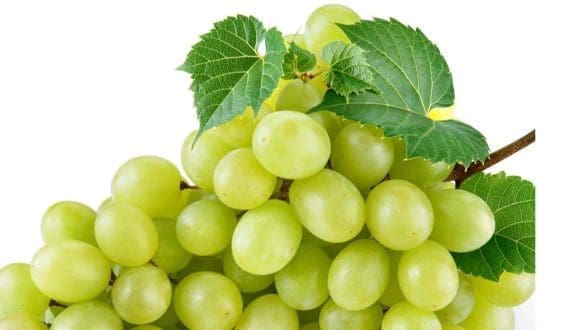 Thumbnail for Improved Cape Town Port performance boosts SA table grape exports