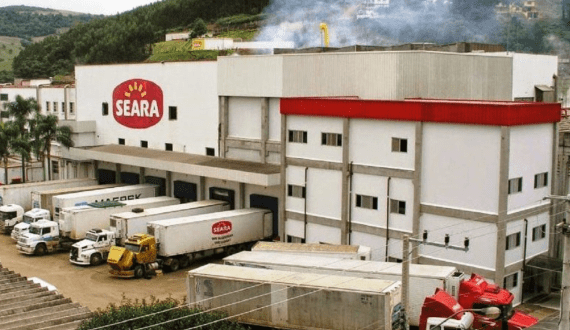 Thumbnail for JBS’s Seara achieves milestone in sustainability adoption on Brazilian farms