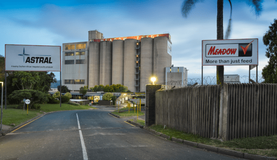 Thumbnail for Nigeria’s state announces plan for US$2M poultry farm in Bosso LGA