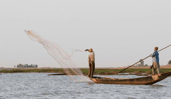 Thumbnail for Mali’s government announces a US$11.1M investment in fisheries development