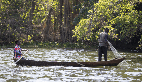 Thumbnail for Aquaculture groups in Nyeri County, Kenya receive US$55K grant for fish farming