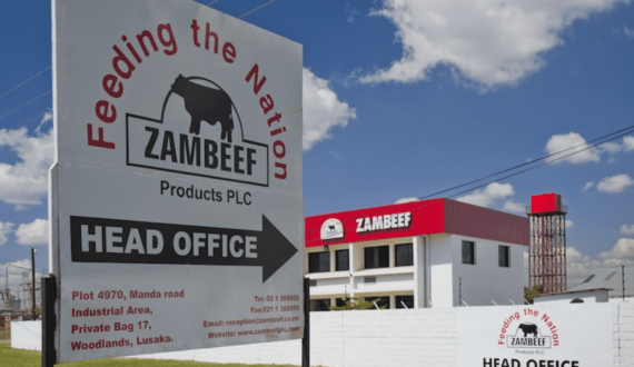Thumbnail for Zambeef shows resilience with revenue growth amid economic challenges