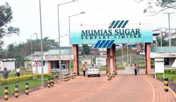 Thumbnail for Kenya announces first-ever bonus for sugar farmers amid sector reforms