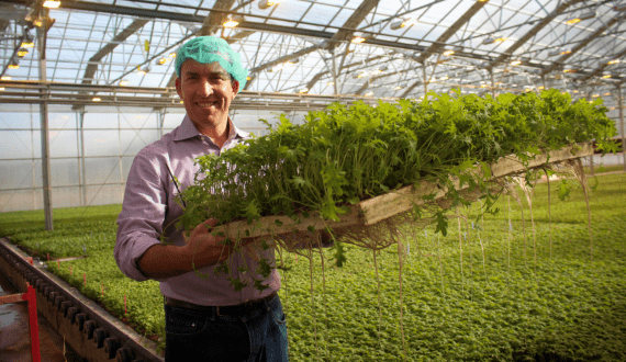 Thumbnail for Trump’s import tariffs threaten US greenhouse vegetable industry