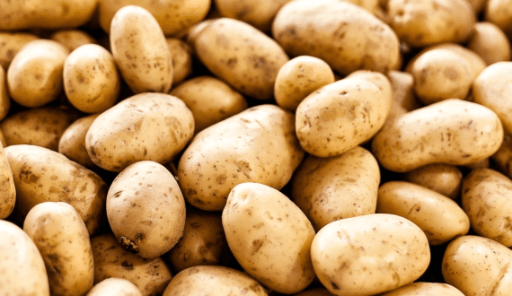 Thumbnail for South Africa eyes Russian market for potato exports