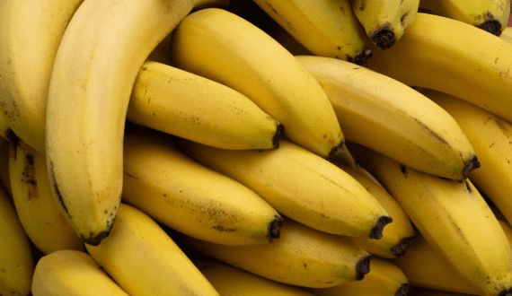 Thumbnail for Namibia set to harvest locally grown bananas reducing dependence on imports