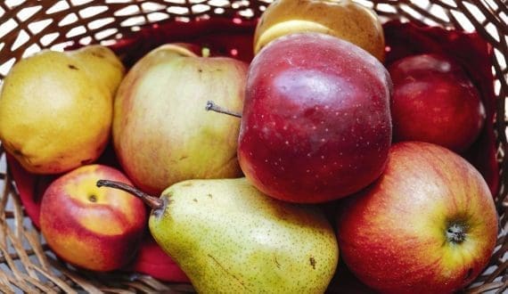 Thumbnail for SA apple, pear growers expect strong harvest in 2024/25 season