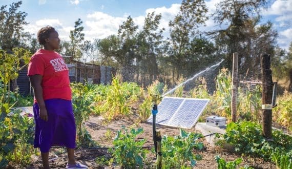Thumbnail for Kenyan farmers to benefit from additional BII funding