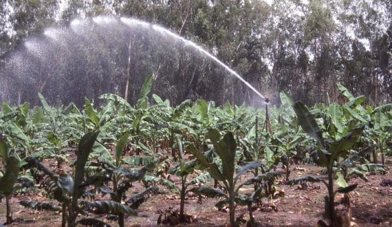 Thumbnail for Burkina Faso secures US$20M loan to expand irrigation