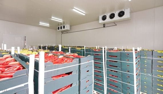 Thumbnail for Philippines allocates US$51M for cold storage construction to support farmers