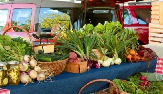 Thumbnail for MSMEDA, Erada Microfinance to boost Egypt’s fresh produce sector with US$1.2M investment