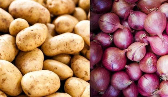 Thumbnail for Côte d’Ivoire expands potato and onion production with Dutch support