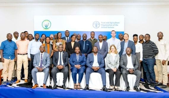 Thumbnail for Rwanda, FAO collaborate to reduce agricultural methane emissions