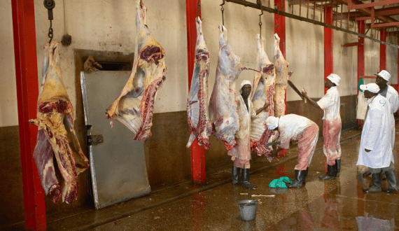 Thumbnail for Rwanda to target 20% increase in meat production by 2029, government says