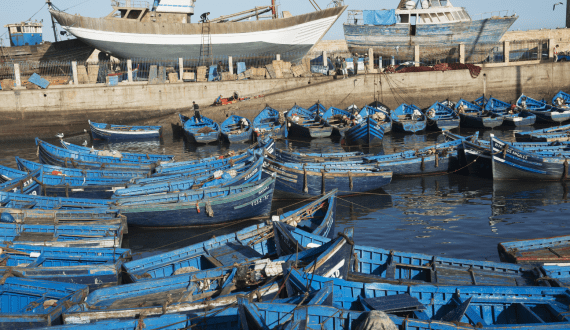 Thumbnail for Moroccan-Norwegian firm Alta Mar invests US$21M in marine aquaculture in Safi