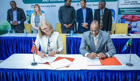 Thumbnail for Tanzania secures US$1.3M from Norway for agricultural development