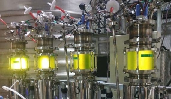 Thumbnail for Israel’s CBC Group, Brevel partner to develop microalgae-based functional beverages and dairy alternatives