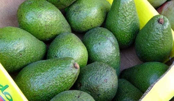Thumbnail for US tariffs on Mexican imports spark concerns in Kenya’s avocado industry